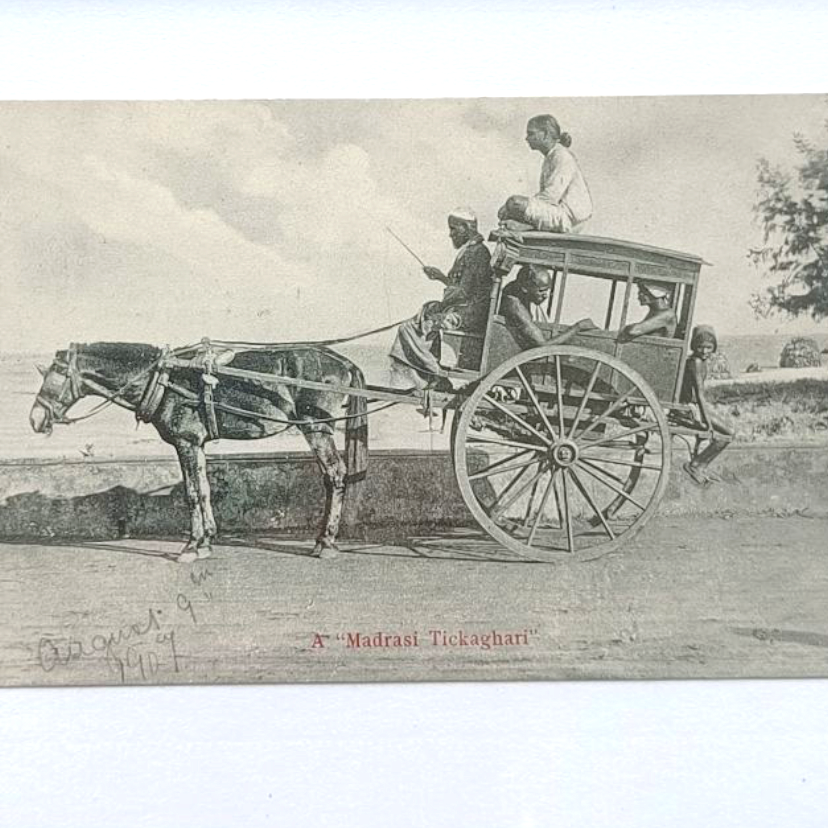 Vintage Postcard - A Madrasi Tickaghari
