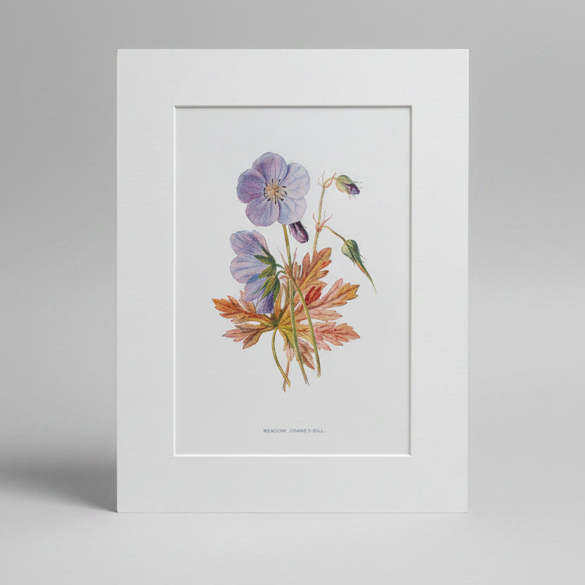 Framed botanical print with purple flowers and autumn leaves on a gray background